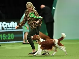 Official photos from Crufts 2023: Christina Drottsgard and Gudrun Brownstrom from Sweden with Archie, a Welsh Springer Spaniel