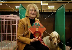 <b class=qtipBold><figcaption>Crufts 2015</figcaption></b><br>Picture shows the winner of the English Setter class, Freya, a 21 month old from Derbyshire with owner Margaret McCabe today (Thursday 05.03.15), the first day of Crufts 2015, at the NEC Birmingham.<br><em>© OnEdition / The Kennel Club</em> Crufts 2015