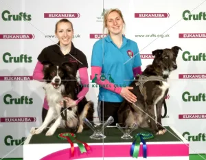 <b class=qtipBold><figcaption>Crufts 2015</figcaption></b><br>Picture shows Agility Kennel Club Novice Cup Final (Large) 1st and 2nd place Helen Anderson with dog Delanor Dark Agent and Connie Sellers with her dog the Huntstowm Flyer (Thursday 05.03.15), the first day of Crufts 2015, at the NEC Birmingham.<br><em>© OnEdition / The Kennel Club</em> Crufts 2015