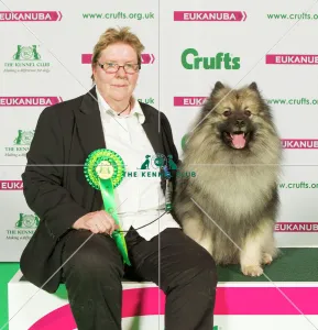 <b class=qtipBold><figcaption>Crufts 2015</figcaption></b><br>Picture shows Eva Andresson from Sweden with Hugo a Keeshond, which was the Best of Breed winner today (Sunday 08.03.15), the fourth day of Crufts 2015, at the NEC Birmingham.<br><em>© OnEdition / The Kennel Club</em> Crufts 2015