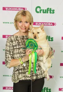 <b class=qtipBold><figcaption>Crufts 2015</figcaption></b><br>Picture shows Victoria Leaf from York with Bailey a Schipperke, which was the Best of Breed winner today (Sunday 08.03.15), the fourth day of Crufts 2015, at the NEC Birmingham.<br><em>© OnEdition / The Kennel Club</em> Crufts 2015