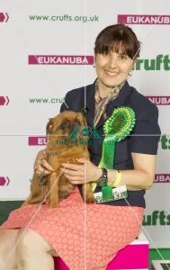 <b class=qtipBold><figcaption>Crufts 2015</figcaption></b><br>Picture shows Michelle Swinge from Hockley with Roxy a Griffon Bruxellois, which was the Best of Breed winner today (Sunday 08.03.15), the fourth day of Crufts 2015, at the NEC Birmingham.<br><em>© OnEdition / The Kennel Club</em> Crufts 2015