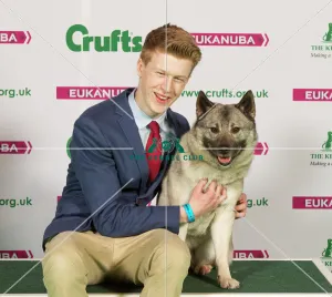<b class=qtipBold><figcaption>Crufts 2015</figcaption></b><br>Picture shows Will Croxford from Kettering with Pearl a Norwegian Elkhound, which was the Best of Breed winner today (Saturday 07.03.15), the third day of Crufts 2015, at the NEC Birmingham.<br><em>© OnEdition / The Kennel Club</em> Crufts 2015