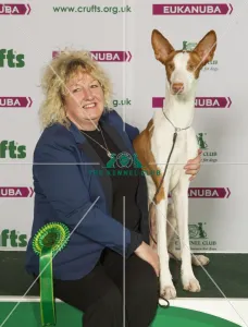 <b class=qtipBold><figcaption>Crufts 2015</figcaption></b><br>Picture shows Lizzie Egan from Llanyllin with Rafa a Ibizan Hound, which was the Best of Breed winner today (Saturday 07.03.15), the third day of Crufts 2015, at the NEC Birmingham.<br><em>© OnEdition / The Kennel Club</em> Crufts 2015