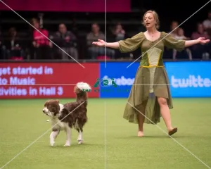 <b class=qtipBold><figcaption>Crufts 2015</figcaption></b><br>The Kennel Club Crufts 2015<br><em>© Yulia Titovets / The Kennel Club</em> Crufts 2015