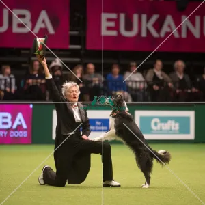 <b class=qtipBold><figcaption>Crufts 2015</figcaption></b><br>The Kennel Club Crufts 2015<br><em>© Yulia Titovets / The Kennel Club</em> Crufts 2015