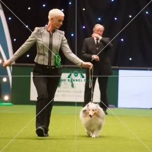 <b class=qtipBold><figcaption>Crufts 2015</figcaption></b><br>The Kennel Club Crufts 2015<br><em>© Yulia Titovets / The Kennel Club</em> Crufts 2015
