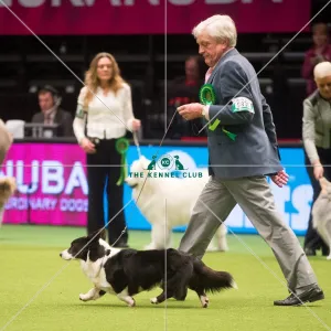 <b class=qtipBold><figcaption>Crufts 2015</figcaption></b><br>The Kennel Club Crufts 2015<br><em>© Yulia Titovets / The Kennel Club</em> Crufts 2015