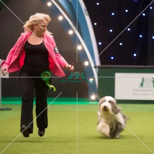 <b class=qtipBold><figcaption>Crufts 2015</figcaption></b><br>The Kennel Club Crufts 2015<br><em>© Yulia Titovets / The Kennel Club</em> Crufts 2015