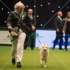 <b class=qtipBold><figcaption>Crufts 2015</figcaption></b><br>The Kennel Club Crufts 2015<br><em>© Yulia Titovets / The Kennel Club</em> Crufts 2015