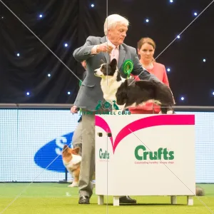 <b class=qtipBold><figcaption>Crufts 2015</figcaption></b><br>The Kennel Club Crufts 2015<br><em>© Yulia Titovets / The Kennel Club</em> Crufts 2015