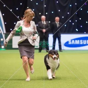 <b class=qtipBold><figcaption>Crufts 2015</figcaption></b><br>The Kennel Club Crufts 2015<br><em>© Yulia Titovets / The Kennel Club</em> Crufts 2015