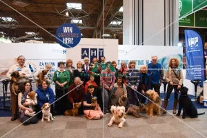 <b class=qtipBold><figcaption>Crufts 2016</figcaption></b><br>11am Give a Dog Genome photocall - Animal Health Trust, Hall 3 stand 55. Selection of dogs with AHT and KC Beagle Border Terrier Flatcoated Retriever Wire haired dachshund and mini smooth dachshund Griffin Bruxelles Briard Italian Spinone Affenpinscher Keeshonds Otterhound Mini schnauzer Giant schnauzer<br><em>© The Kennel Club</em> Crufts 2016