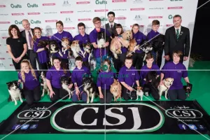 <b class=qtipBold><figcaption>Crufts 2016</figcaption></b><br>YKC Agility Team GB to compete at the European Open Junior Championships 2016. Coaching team: Mark Laker (Team Manager), Paul Moore (Team Coach), Ann Roberts (Team Support), Sam Chapman (Team Assistant) Teams selected (not all in photo): SMALL: Amy Challis with Woody of Louandi; Daniel Croxford with Ag Ch Bogshole Bess Beauty; Gabriella Barrett with Joybringer Cadenza; Jack Ryan with Jachols Jump Jet; Oliver Rigby with Pretty Little Weasel; Penelope Lowes with Sobrietys Come On Eileen; Sarah Kirk with Little Pip. MEDIUM: Ben Alderson with Secret Mystery Mission Impossible; Cameron Bunce with Jay Two Oh; Cameron Bunce with ZigaZag Ha; Ellie Curtis with Cacciatore Greenfinch; Katie Lines with Under the Archies; Oliver Rigby with Hillbre Orange Pippin. LARGE: Adam Stretton with Ginny De La Patonniere; Amy Challis with Romarinus Rumrosa At Upanova; Belle Howlett with Leia's Queen of Naboo; Belle Howlett with Millennium Falcon Princess; Ben Alderson with Devongem Pitch Black; Daniel Croxford with Rosmarinus Florin; Katie Arnold with Spirit of the Jumpy Thames; Rory Tidmarsh with Fuelled For Life By Diesel; Samantha Pegg with Rujaff Red Hot Rave; Samantha Pegg with Tonkory Devil in Disguise at Raylisa; Shannon Springford with Castomya First Love.<br><em>© The Kennel Club</em> Crufts 2016