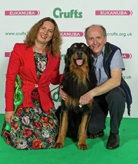 Images Dated 12th March 2016: Crufts 2016 Best of Breed