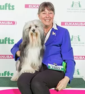 Images Dated 10th March 2016: Crufts 2016 Best of Breed