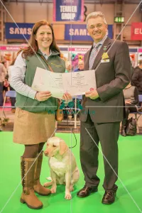 <b class=qtipBold><figcaption>Crufts 2016 Gundog day</figcaption></b><br>Paul Rawlings, Chairman of the Working Gundog Certificate Working Party awards a certificate to Mrs Megan Borthwick for her dogs Kakabel Luna and Solo Talula Tazmin<br><em>© NigelKirbyPhotography.com</em> Crufts 2016 Gundog day