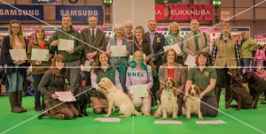 <b class=qtipBold><figcaption>Crufts 2016 Gundog day</figcaption></b><br>working gundog certificate presentation Image shows Paul Rawlings and all handlers who received the working gundog certicate at Crufts 2016 (except Janet Williams)<br><em>© NigelKirbyPhotography.com</em> Crufts 2016 Gundog day