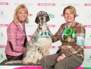 <b class=qtipBold><figcaption>Crufts 2017</figcaption></b><br>Tereza Watkins and Angela Phillips from Grimsby with Star a English Setter, which was the Best of Breed winner today (Saturday 11.03.17), the third day of Crufts 2017, at the NEC Birmingham. Crufts 2017