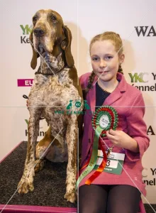 <b class=qtipBold><figcaption>Crufts 2017</figcaption></b><br>YKC Handling 6-11 years winner Amelia Tatum and Sienna, today (Saturday 11.03.17), the third day of Crufts 2017, at the NEC Birmingham. Crufts 2017