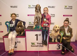 <b class=qtipBold><figcaption>Crufts 2017</figcaption></b><br>YKC Handling 6-11 years winner Amelia Tatum and Sienna, 2nd Phoebe Toublic and Dhalia and 3rd Eryn Louise Williams and Laci today (Saturday 11.03.17), the third day of Crufts 2017, at the NEC Birmingham. Crufts 2017