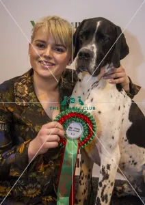 <b class=qtipBold><figcaption>Crufts 2017</figcaption></b><br>YKC Handling 17-24 years winner Connie Hazeltone and Mork today (Saturday 11.03.17), the third day of Crufts 2017, at the NEC Birmingham. Crufts 2017