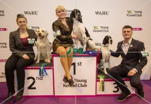 <b class=qtipBold><figcaption>Crufts 2017</figcaption></b><br>YKC Handling 17-24 years winner Connie Hazeltone and Mork, 2nd Rebecca Mills and Lucie and 3rd Kyle Adams and ??? today (Saturday 11.03.17), the third day of Crufts 2017, at the NEC Birmingham. Crufts 2017