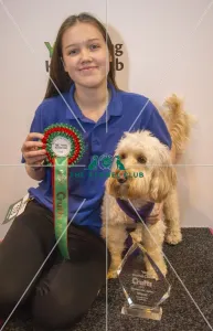 <b class=qtipBold><figcaption>Crufts 2017</figcaption></b><br>YKC Medium ABC Agility Winner Rebecca Colley and Doodle Daydream today (Saturday 11.03.17), the third day of Crufts 2017, at the NEC Birmingham. Crufts 2017