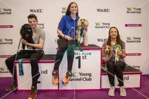 <b class=qtipBold><figcaption>Crufts 2017</figcaption></b><br>YKC Medium ABC Agility Winner Rebecca Colley and Doodle Daydream, 2nd Thomas Shaw and Blackengine Dusk and 3rd Kaite Cusack and Ruby today (Saturday 11.03.17), the third day of Crufts 2017, at the NEC Birmingham. Crufts 2017