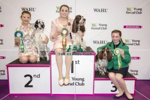 <b class=qtipBold><figcaption>Crufts 2017</figcaption></b><br>YKC Handling 12-16 (gundog) winner Georgia Brown and Toby, 2nd Stevie-Lee Norley and Solo and 3rd Abigail Levine and Ayasha today (Saturday 11.03.17), the third day of Crufts 2017, at the NEC Birmingham. Crufts 2017