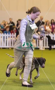<b class=qtipBold><figcaption>Crufts 2017</figcaption></b><br>YKC Handling 17-24 years today (Saturday 11.03.17), the third day of Crufts 2017, at the NEC Birmingham. Crufts 2017