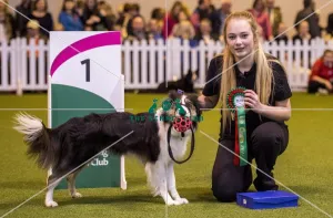 <b class=qtipBold><figcaption>Crufts 2017</figcaption></b><br>YKC Jumping Under 18 years Pictured is Belle Howlett - today (Saturday 11.03.17), the third day of Crufts 2017, at the NEC Birmingham. Crufts 2017