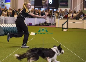 <b class=qtipBold><figcaption>Crufts 2017</figcaption></b><br>YKC Jumping Under 18 years Pictured is Belle Howlett - today (Saturday 11.03.17), the third day of Crufts 2017, at the NEC Birmingham. Crufts 2017