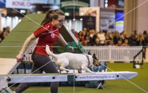 <b class=qtipBold><figcaption>Crufts 2017</figcaption></b><br>YKC Small ABC Agility today (Friday 10.03.17), the second day of Crufts 2017, at the NEC Birmingham. Crufts 2017