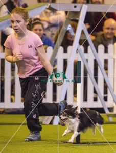 <b class=qtipBold><figcaption>Crufts 2017</figcaption></b><br>YKC Small ABC Agility today (Friday 10.03.17), the second day of Crufts 2017, at the NEC Birmingham. Crufts 2017