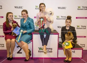 <b class=qtipBold><figcaption>Crufts 2017</figcaption></b><br>YKC Stakes Final winner Danielle Taylor and Marnie, 2nd Brooke Murray and Sophie Willdig and Dave and 3rd Lauren Brown and Brooklyn today (Friday 10.03.17), the second day of Crufts 2017, at the NEC Birmingham. Crufts 2017