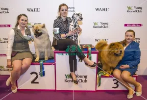 <b class=qtipBold><figcaption>Crufts 2017</figcaption></b><br>YKC Stakes Final Winner Charlotte Page and Pandora, 2nd Kayleigh Parkinson and Xania and 3rd Rosie Douse and Tia today (Friday 10.03.17), the second day of Crufts 2017, at the NEC Birmingham. Crufts 2017