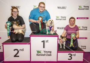 <b class=qtipBold><figcaption>Crufts 2017</figcaption></b><br>YKC Small ABC Agility winner Megan Spring and Mabel, 2nd Rachel Dutton and Jack and 3rd Keeley Foster and Magic Midget today (Friday 10.03.17), the second day of Crufts 2017, at the NEC Birmingham. Crufts 2017