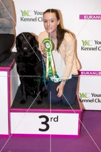 <b class=qtipBold><figcaption>Crufts 2017</figcaption></b><br>3rd placed Graduate Obedience, YKC- Sam Ragus with Chewy, today (Friday 10.03.17), the second day of Crufts 2017, at the NEC Birmingham. Crufts 2017