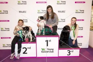 <b class=qtipBold><figcaption>Crufts 2017</figcaption></b><br>(L-R) Winners at Graduate Obedience in the YKC ring, Kaydie Davidson with Jazz, Voirrey Horne with Isla, Sam Ragus with Chewy, today (Friday 10.03.17), the second day of Crufts 2017, at the NEC Birmingham. Crufts 2017
