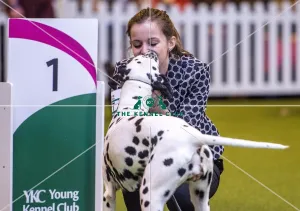 <b class=qtipBold><figcaption>Crufts 2017</figcaption></b><br>YKC Handling 17-24 years pictured is winner Charlotte Page and her Dalmation Pandora today (Friday 10.03.17), the second day of Crufts 2017, at the NEC Birmingham. Crufts 2017
