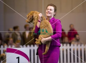 <b class=qtipBold><figcaption>Crufts 2017</figcaption></b><br>YKC Handling 17-24 years winner Antonia Leech and Tahkira today (Thursday 09.03.17), the first day of Crufts 2017, at the NEC Birmingham. Crufts 2017
