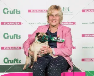 <b class=qtipBold><figcaption>Crufts 2017</figcaption></b><br>Andrea Butterstone from Brighton with Mable a Pug, which was the Best of Breed winner today (Friday 10.03.17), the second day of Crufts 2017, at the NEC Birmingham. Crufts 2017