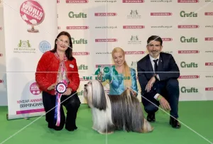 <b class=qtipBold><figcaption>Crufts 2017</figcaption></b><br>Sabine & Katja Rauhut with Kivi a Tibetan Terrier competing in the Eukunaba World Challenge today (Thursday 09.03.17), the first day of Crufts 2017, at the NEC Birmingham. Crufts 2017