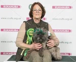 <b class=qtipBold><figcaption>Crufts 2017</figcaption></b><br>Geri Robinson from Reed, Hertfordshire with Ellie-May a Cairn Terrier, which was the Best of Breed winner today (Thursday 09.03.17), the first day of Crufts 2017, at the NEC Birmingham. Crufts 2017