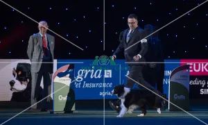 <b class=qtipBold><figcaption>Crufts 2018</figcaption></b><br>Picture shows David Connolly from Togher, Ireland with Roo a Border Collie, at the Best in Show competition, today (Sunday 11.03.18), the fourth and final day of Crufts 2018, at the NEC Birmingham.<br><em>© Flick.digital</em> Crufts 2018