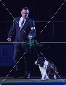 <b class=qtipBold><figcaption>Crufts 2018</figcaption></b><br>Picture shows David Connolly from Togher, Ireland with Roo a Border Collie, at the Best in Show competition, today (Sunday 11.03.18), the fourth and final day of Crufts 2018, at the NEC Birmingham.<br><em>© Flick.digital</em> Crufts 2018