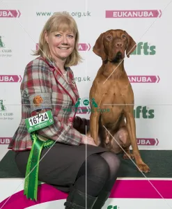 <b class=qtipBold><figcaption>Crufts 2018</figcaption></b><br>Picture shows Donna Clubb from Forfar with Finn a Hungarian Vizsla, which was the Best of Breed winner today, (Sunday 11.03.18), the fourth and final day of Crufts 2018, at the NEC Birmingham.<br><em>© Flick.digital</em> Crufts 2018