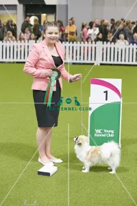 <b class=qtipBold><figcaption>Crufts 2018</figcaption></b><br>Picture shows Winners of Handling 12-16 years, Elizabeth O'Brien with Zoe (Saturday 10.03.18), the third day of Crufts 2018, at the NEC Birmingham.<br><em>© Flick.digital</em> Crufts 2018
