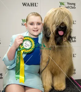 <b class=qtipBold><figcaption>Crufts 2018</figcaption></b><br>Picture shows Handling 12-16yrs 3rd place Ilysia Burrow and Macey the Briard , (Thursday 08.03.18), the first day of Crufts 2018, at the NEC Birmingham.<br><em>© Flick.digital</em> Crufts 2018